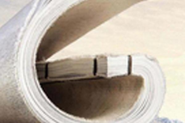 吉林省發(fā)展改革委關(guān)于印發(fā)《吉林省固定資產(chǎn)投資項目節(jié)能審查實(shí)施辦法》的通知